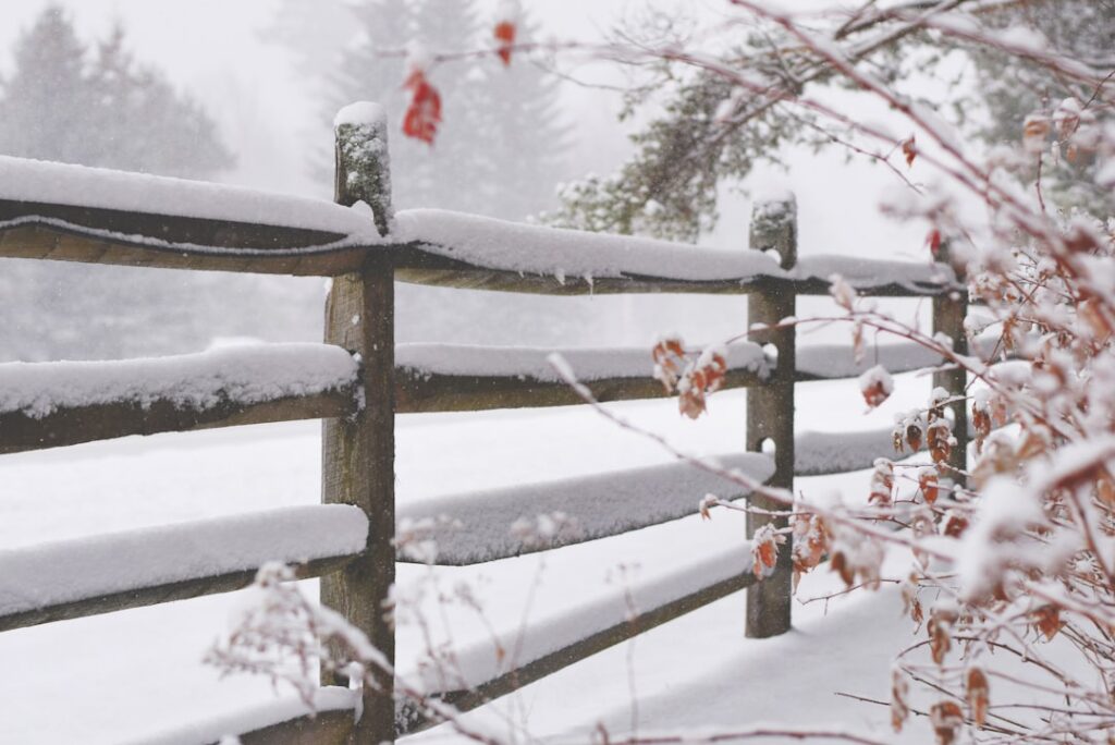Gezellige winteravonden met Winter vol liefde en andere series-en-films