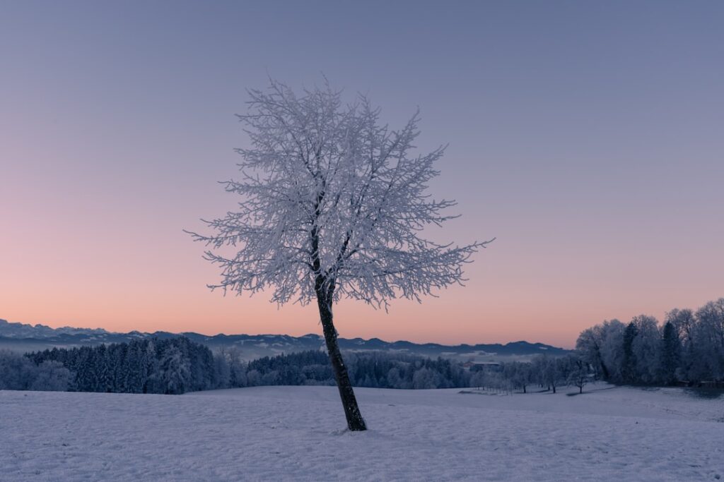 Winter vol liefde zorgt voor hartverwarmende televisieavonden