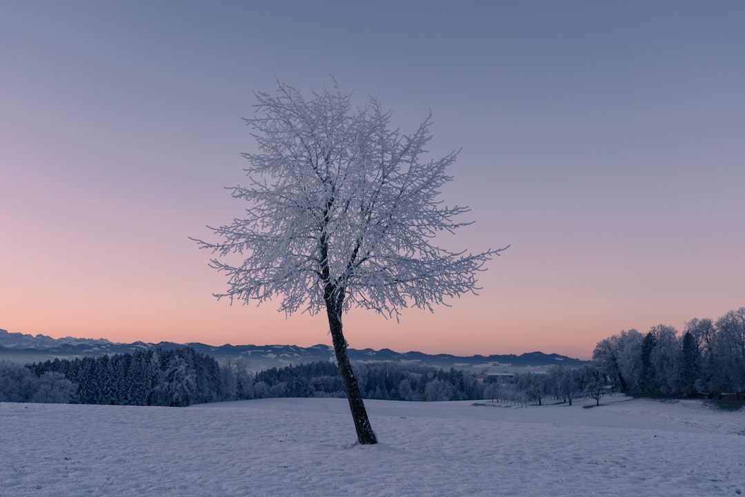 Winter vol liefde zorgt voor hartverwarmende televisieavonden