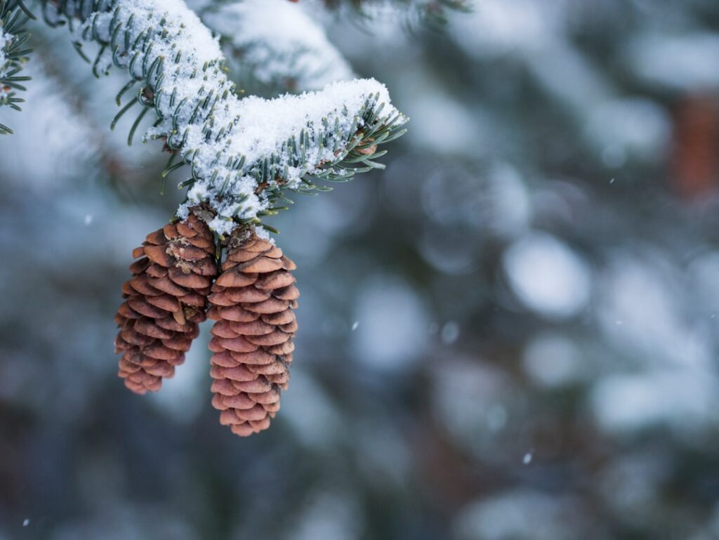 Tot wanneer kun je genieten van Winter vol liefde op tv
